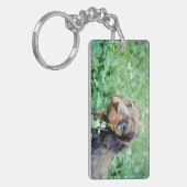 Dinah u. Littermates doppeltes Foto-Andenken Schlüsselanhänger (Vorderseite links)