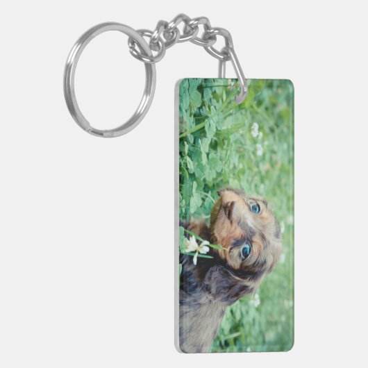 Dinah u. Littermates doppeltes Foto-Andenken Schlüsselanhänger (Vorderseite links)