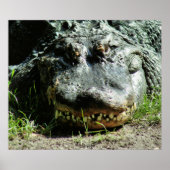 Dinasaur Poster (Vorne)