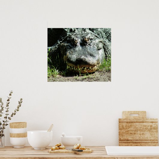 Dinasaur Poster (Küche)
