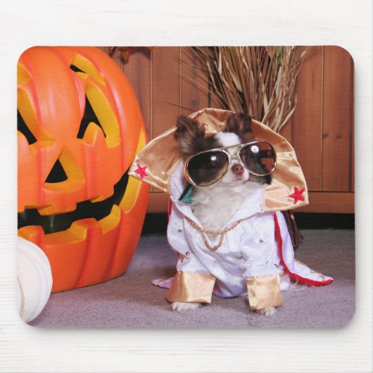 Ding - Chihuahua - Thomas Mousepad (Vorne)