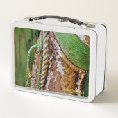 Ding da rein metall brotdose (Rückseite)