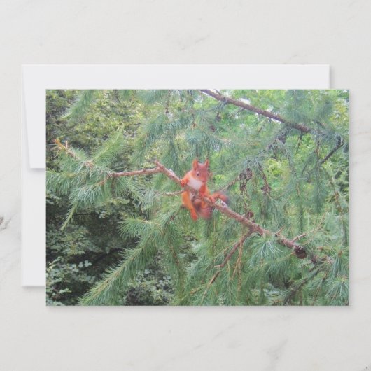 Ding in There Feiertagskarte (Vorderseite)