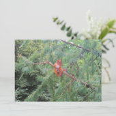 Ding in There Feiertagskarte (Stehend Vorderseite)