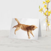 Ding in There Karte (Gelbe Blume)