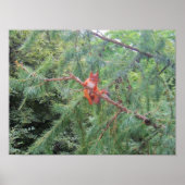 Ding in There Poster (Vorne)