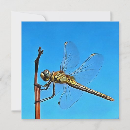 Ding on it Artistic Dragonfly Feiertagskarte (Vorderseite)