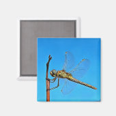 Ding on it Artistic Dragonfly Magnet (Vorderseite/Rückseite)