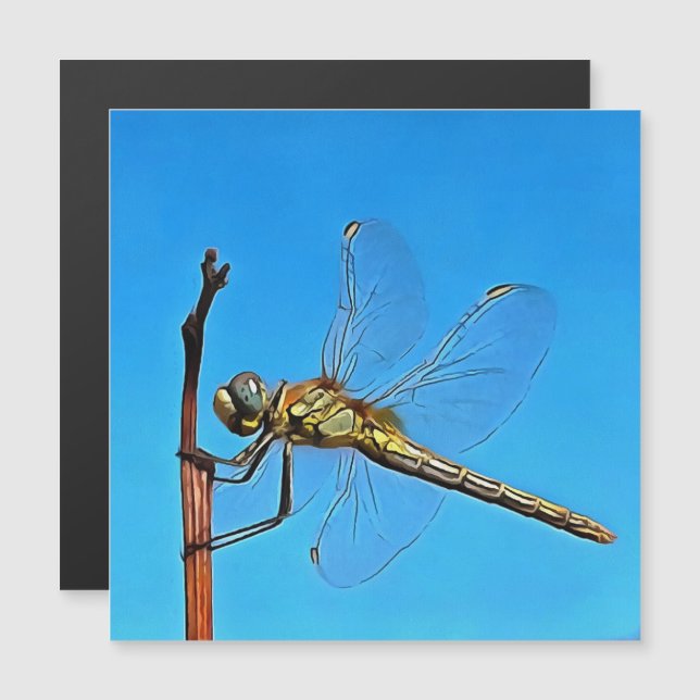 Ding on it Artistic Dragonfly Magnetkarte (Vorne/Hinten)