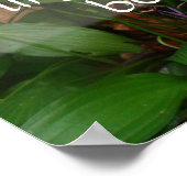 Dinge, die vergangen sind, können nicht als Plakat (Ecke)