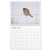 Dinge mit Flügeln: Ein Kalender für Wildtierfotogr (Feb 2027)