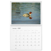 Dinge mit Flügeln: Ein Kalender für Wildtierfotogr (Jan 2027)