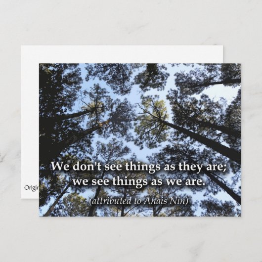 Dinge sehen (Bäume) Postkarte (Vorne/Hinten)