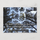 Dinge sehen (Bäume) Postkarte (Vorderseite)