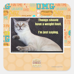 Dinge sollten eine Gewichtsgrenze haben. Quadratischer Aufkleber