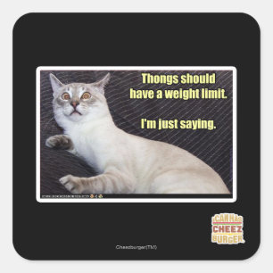 Dinge sollten eine Gewichtsgrenze haben. Quadratischer Aufkleber