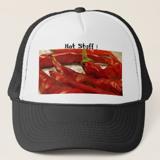 Dinges-Hut Truckerkappe
