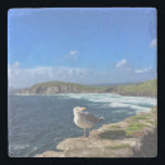 Dingle Halbinsel, Irland, Seagull Untersetzer<br><div class="desc">Einer der schönsten Orte,  und die besten Fahrten in Irland! Teilen Sie die Schönheit von Slea Head Drive auf der Halbinsel Dingle in Kerry,  Irland mit Freunden und Familie zurück Zuhause mit diesen Untersetzer Souvenirs,  um sich an diesen schönen Halt in Ihrem Besuch in Irland zu erinnern.</div>