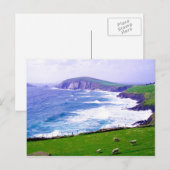 Dingle Ireland Postcard Postkarte (Vorne/Hinten)