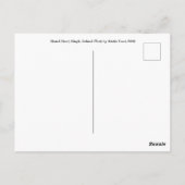 Dingle, Ireland Postcard Postkarte (Rückseite)