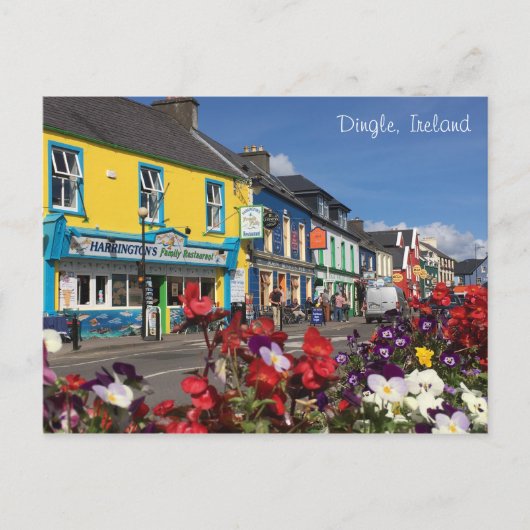Dingle, Ireland Postcard Postkarte (Vorderseite)