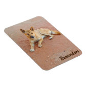 Dingo-Foto-Magnet Magnet (Rechte Seite)
