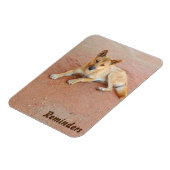 Dingo-Foto-Magnet Magnet (Linke Seite)