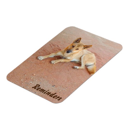 Dingo-Foto-Magnet Magnet (Linke Seite)