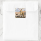 Dingo Hintergrund Quadratischer Aufkleber (Tasche)
