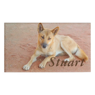 Dingo-Namensschild Namenschild