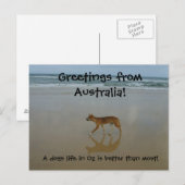Dingo Postkarte (Vorne/Hinten)
