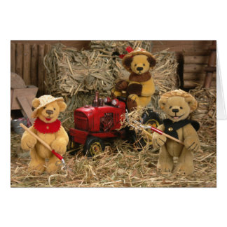 Dinky Bären: Bauers-Kinder