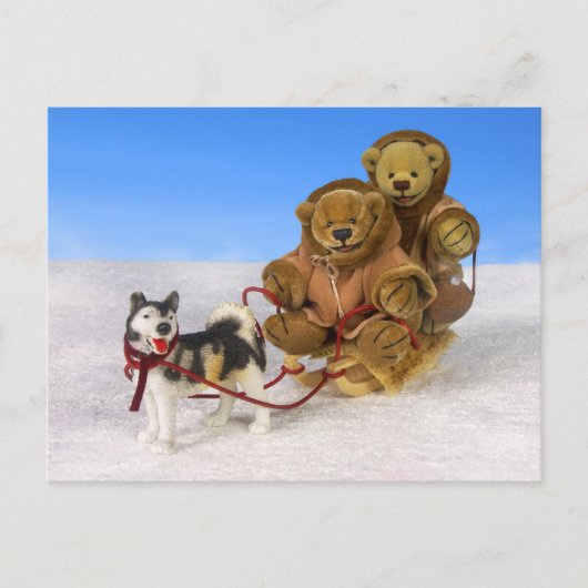 Dinky Bears auf Dog Sled Postkarte (Vorderseite)