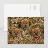 Dinky Bears: Bauer Kids Postkarte (Vorne/Hinten)