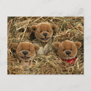Dinky Bears: Bauer Kids Postkarte
