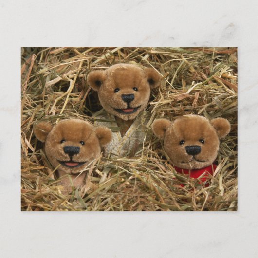 Dinky Bears: Bauer Kids Postkarte (Vorderseite)