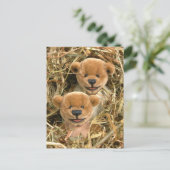 Dinky Bears Bauer Kinder Postkarte (Stehend Vorderseite)