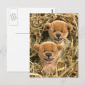 Dinky Bears Bauer Kinder Postkarte (Vorne/Hinten)