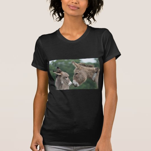 Dinky Esel T-Shirt (Vorderseite)