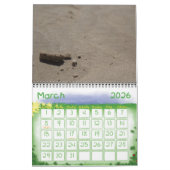 Dino-Calender Kalender (Mär 2026)