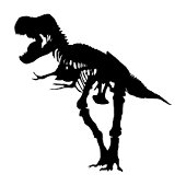 Dino Happy Mail Jungle Runder Aufkleber