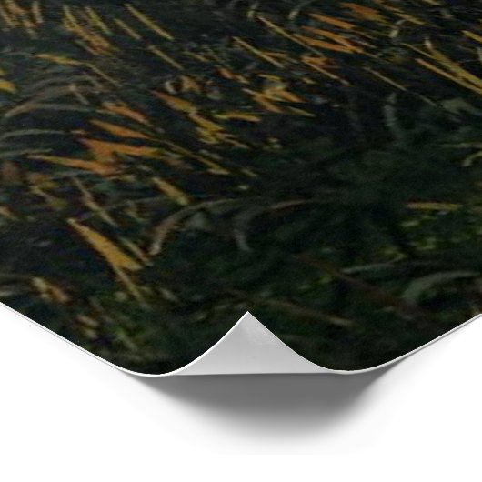 Dino Island Poster (Ecke)