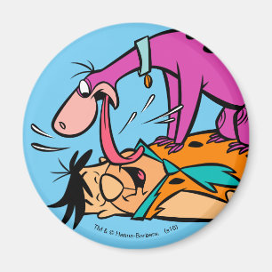 Dino leckt Fred Flintstone Magnet
