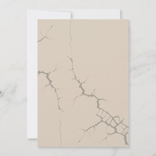 Dino-Mite Birthday Bash Einladung (Rückseite)