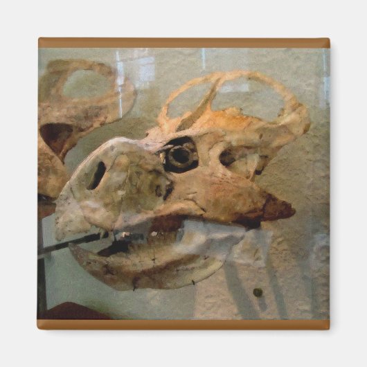 Dino Skull Ölgemälde Magnet (Vorne)