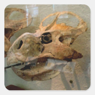Dino Skull Ölgemälde Quadratischer Aufkleber