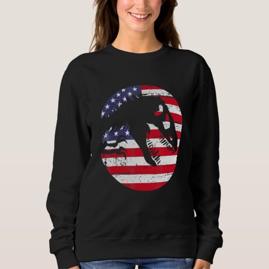 Dino USA Flag Patriotic Dinosaur Rex 4th Of July Sweatshirt (Vorderseite)