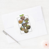 Dino Zoo: Dinosaurier Collage #2 Runder Aufkleber (Umschlag)