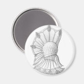 Dinoflagellat Magnet (Vorderseite/Rückseite)