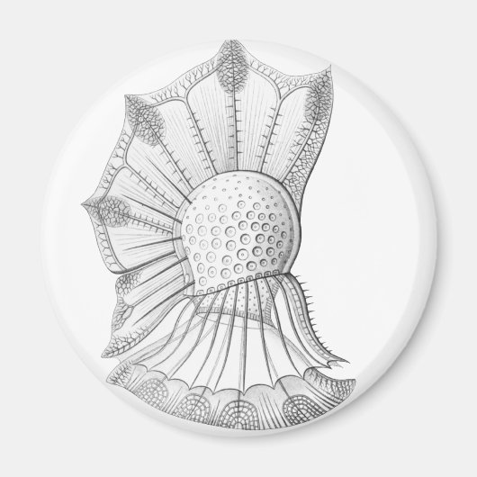 Dinoflagellat Magnet (Vorne)